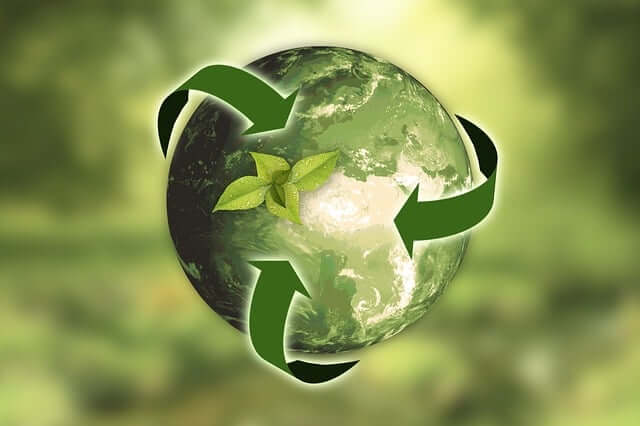 Vida Sustentável: Dicas para reduzir a sua pegada ambiental
